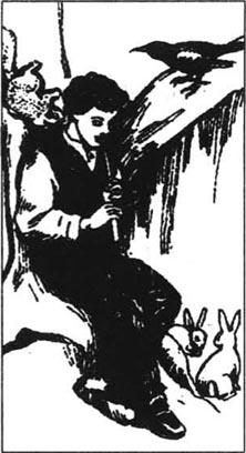 alt