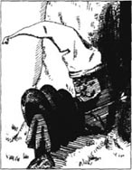 alt